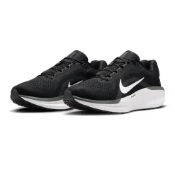Nike Air Winflo 11 scarpe da running - SS24