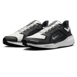 Nike Air Zoom Pegasus 41 GORE-TEX Scarpe da running - SP25