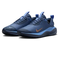 Nike React Infinity Run 4 WINTERIZED GORE-TEX Scarpe da running per donna - HO24
