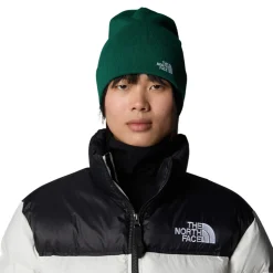 The North Face Norm Berretto